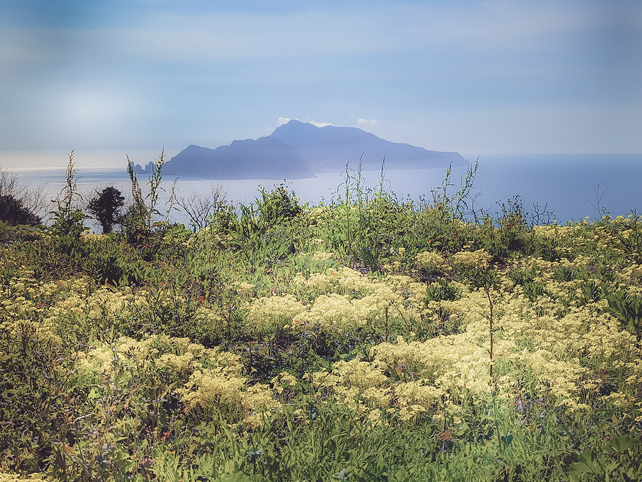 destination wedding photographer sorrento amalfi coast